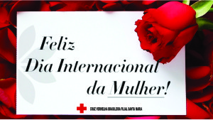 dia int mulher 2016